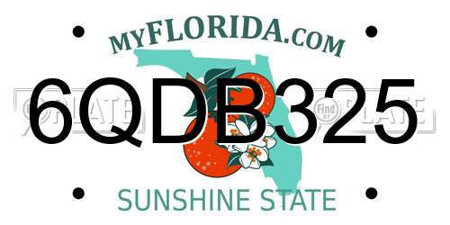 6QDB325 Florida License Plate