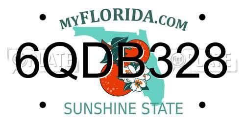 6QDB328 Florida License Plate