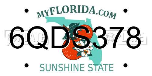 6QDS378 Florida License Plate