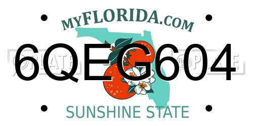 6QEG604 Florida License Plate