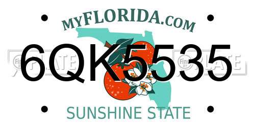 6QK5535 Florida License Plate
