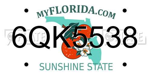 6QK5538 Florida License Plate