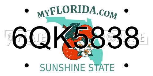 6QK5838 Florida License Plate