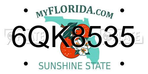 6QK8535 Florida License Plate