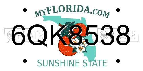 6QK8538 Florida License Plate