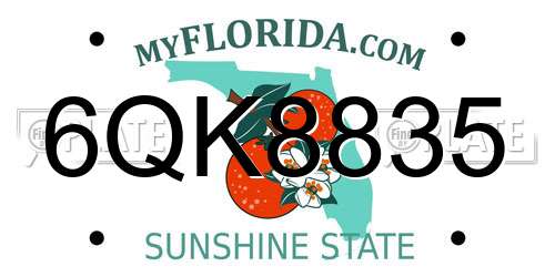 6QK8835 Florida License Plate