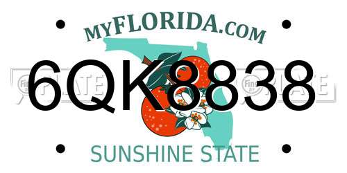 6QK8838 Florida License Plate