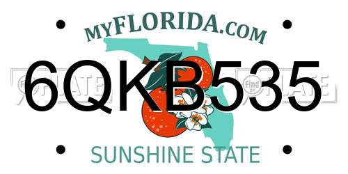 6QKB535 Florida License Plate