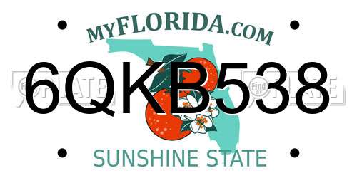 6QKB538 Florida License Plate