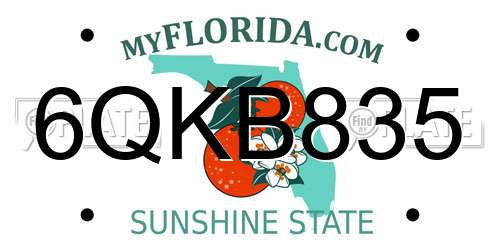 6QKB835 Florida License Plate