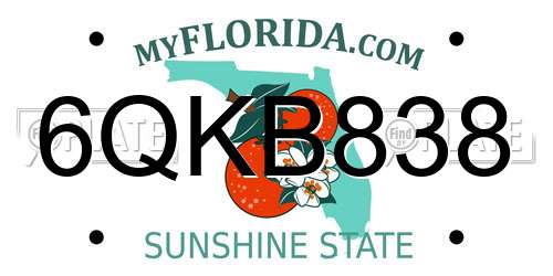 6QKB838 Florida License Plate