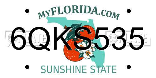 6QKS535 Florida License Plate