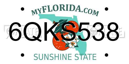 6QKS538 Florida License Plate