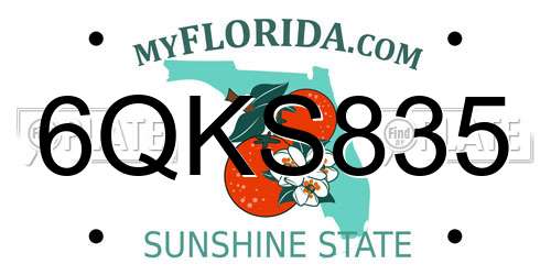 6QKS835 Florida License Plate