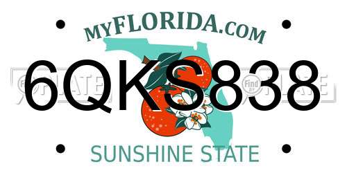 6QKS838 Florida License Plate
