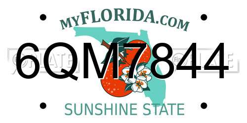 6QM7844 Florida License Plate