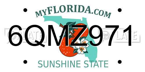 6QMZ971 Florida License Plate