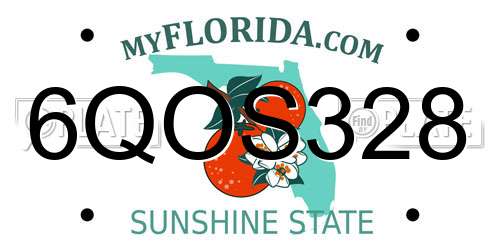 6QOS328 Florida License Plate