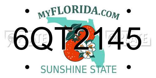 6QT2145 Florida License Plate