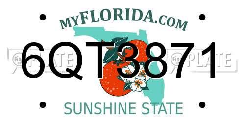 6QT3871 Florida License Plate