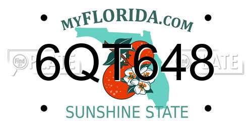 6QT648 Florida License Plate