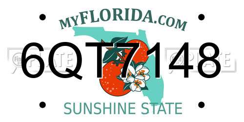 6QT7148 Florida License Plate