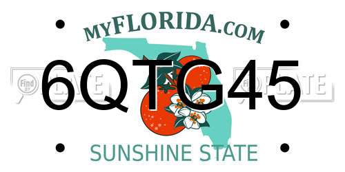 6QTG45 Florida License Plate
