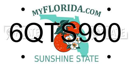 6QTS990 Florida License Plate