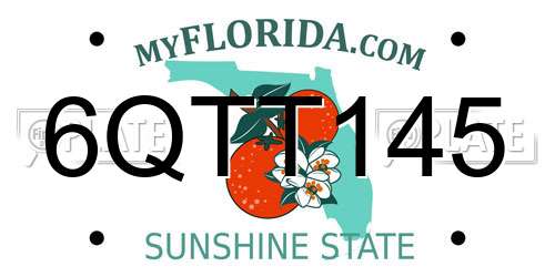 6QTT145 Florida License Plate
