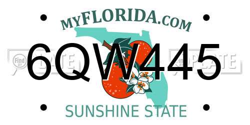 6QW445 Florida License Plate