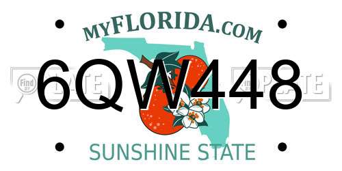 6QW448 Florida License Plate