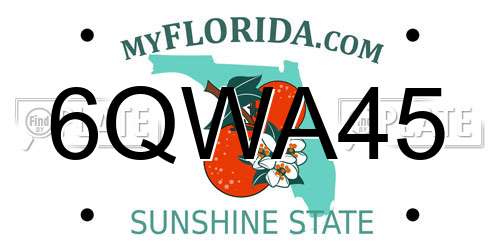 6QWA45 Florida License Plate