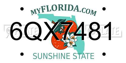 6QX7481 Florida License Plate