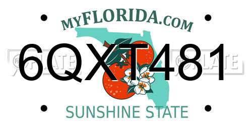 6QXT481 Florida License Plate