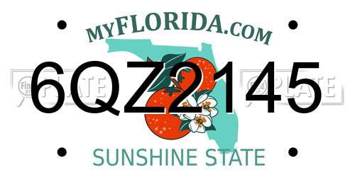 6QZ2145 Florida License Plate