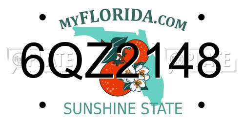 6QZ2148 Florida License Plate