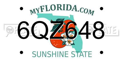 6QZ648 Florida License Plate