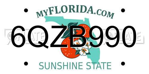 6QZB990 Florida License Plate