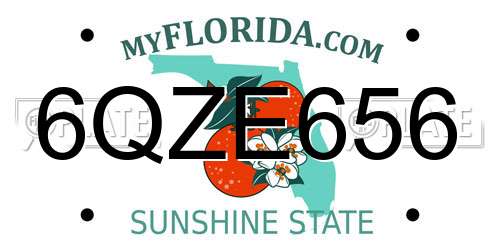 6QZE656 Florida License Plate