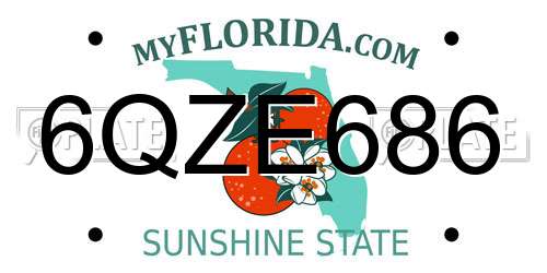 6QZE686 Florida License Plate