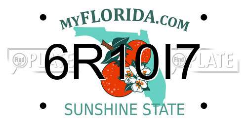 6R10I7 Florida License Plate