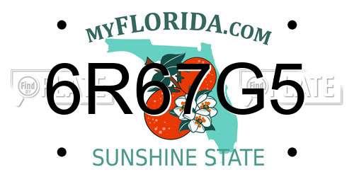 6R67G5 Florida License Plate