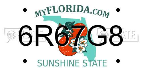 6R67G8 Florida License Plate