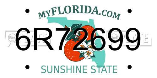 6R72699 Florida License Plate