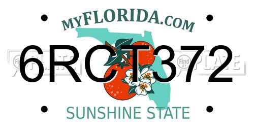 6RCT372 Florida License Plate