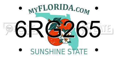 6RG265 Florida License Plate