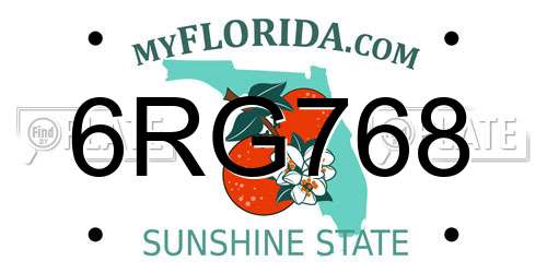 6RG768 Florida License Plate