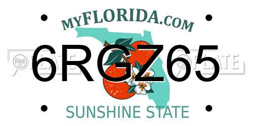 6RGZ65 Florida License Plate