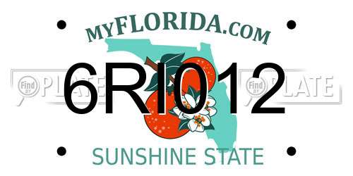 6RI012 Florida License Plate