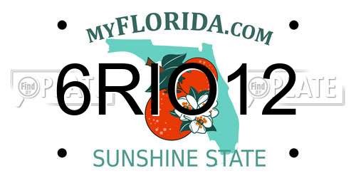 6RIO12 Florida License Plate